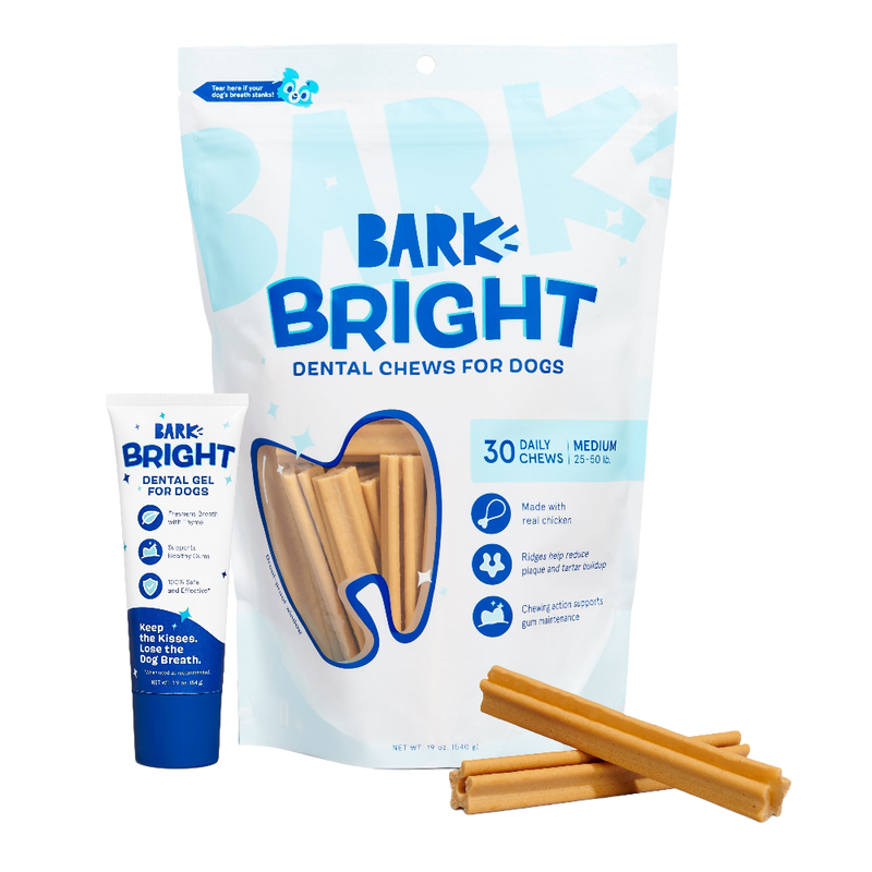 Bright Original Dental Kit, 30 Ct Chews + Toothpaste