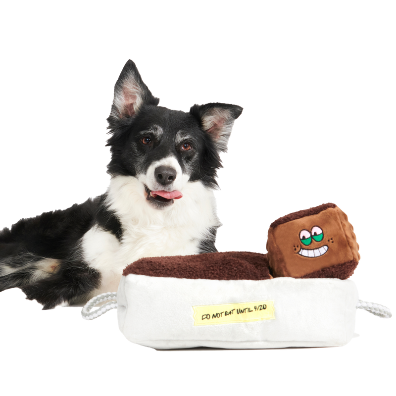 Cosmutt Brownies