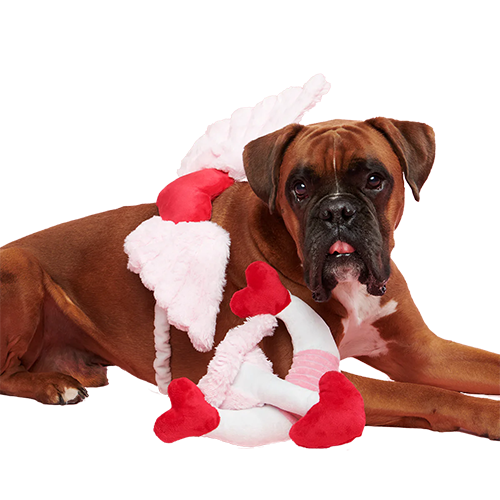 Cupid Bundle Plush Wearable Dog Toy