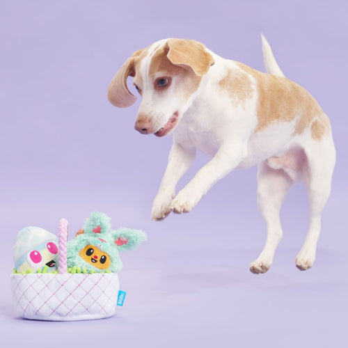 BARK Easter Bundle Plush Multi-Part + Tug + Enrichment Dog Toy
