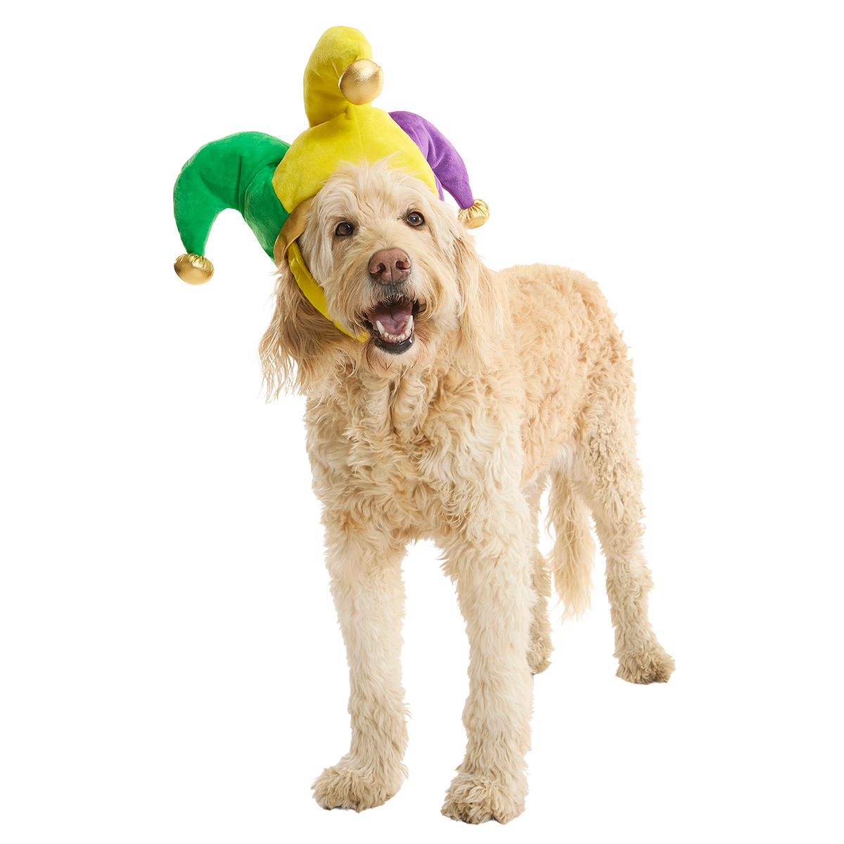Fat Chewsday Hat Plush Wearable Tug Dog Toy