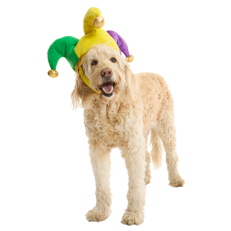 Fat Chewsday Hat Plush Wearable Tug Dog Toy