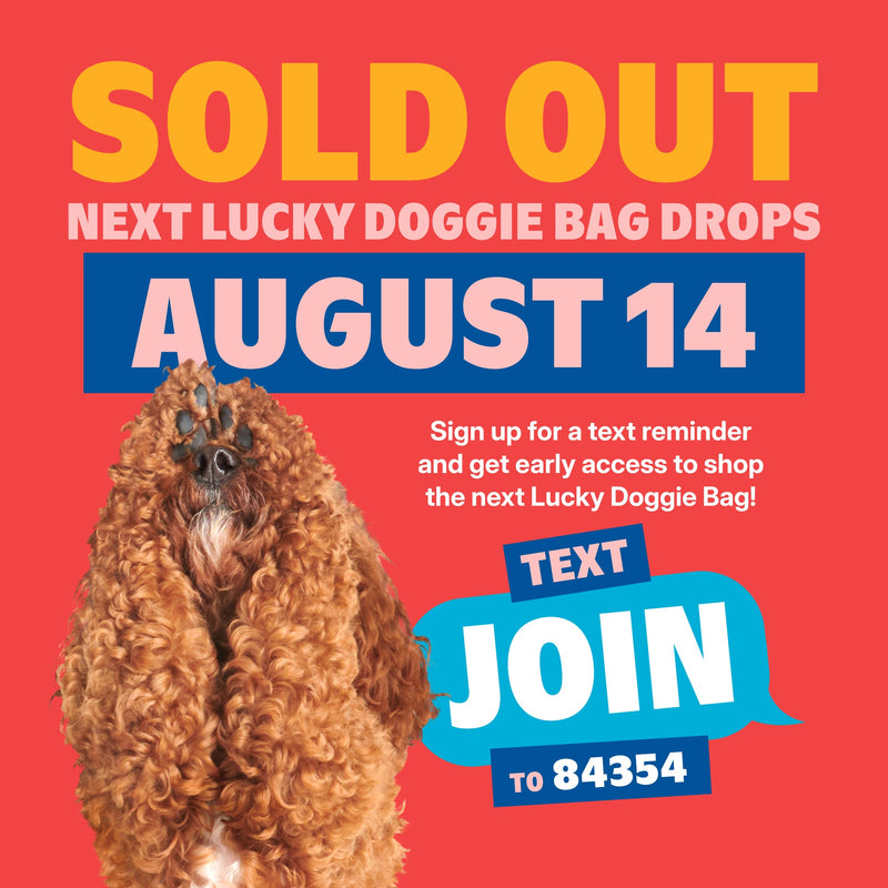 Lucky Doggie Bag