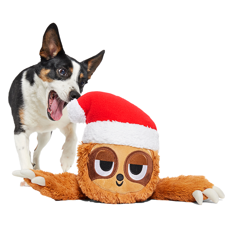 Let It Slow Plush Extra-Large + Tug Dog Toy