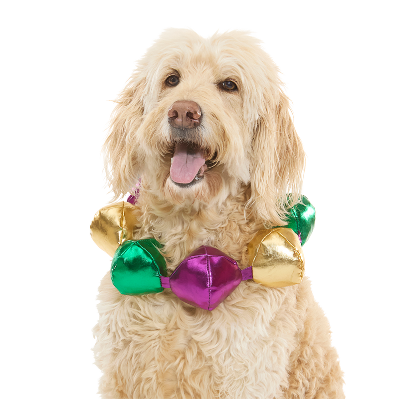 Mardi Growl Necklace Plush Wearable Tug Dog Toy