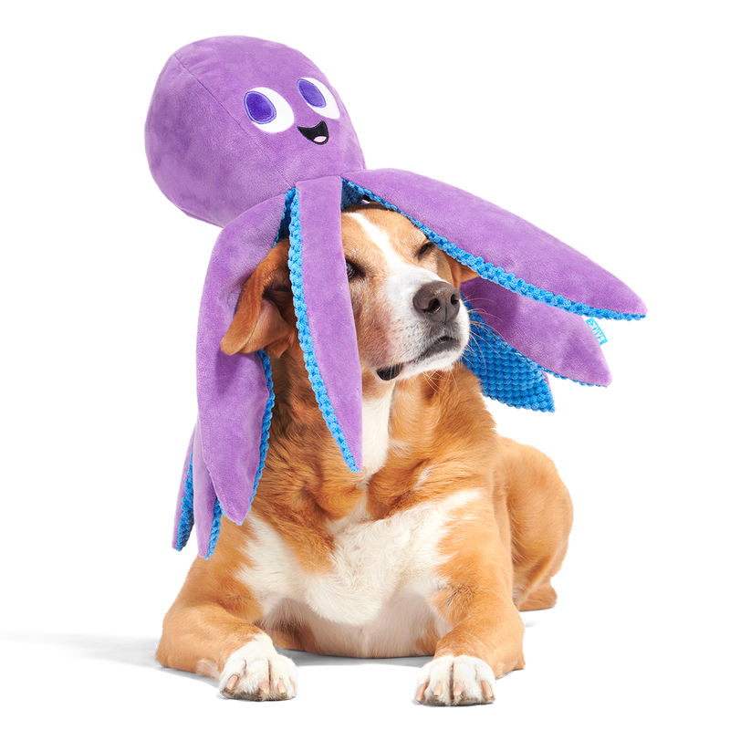 Mondo Ollie the Octopus Plush Tug + Extra-Large Dog Toy