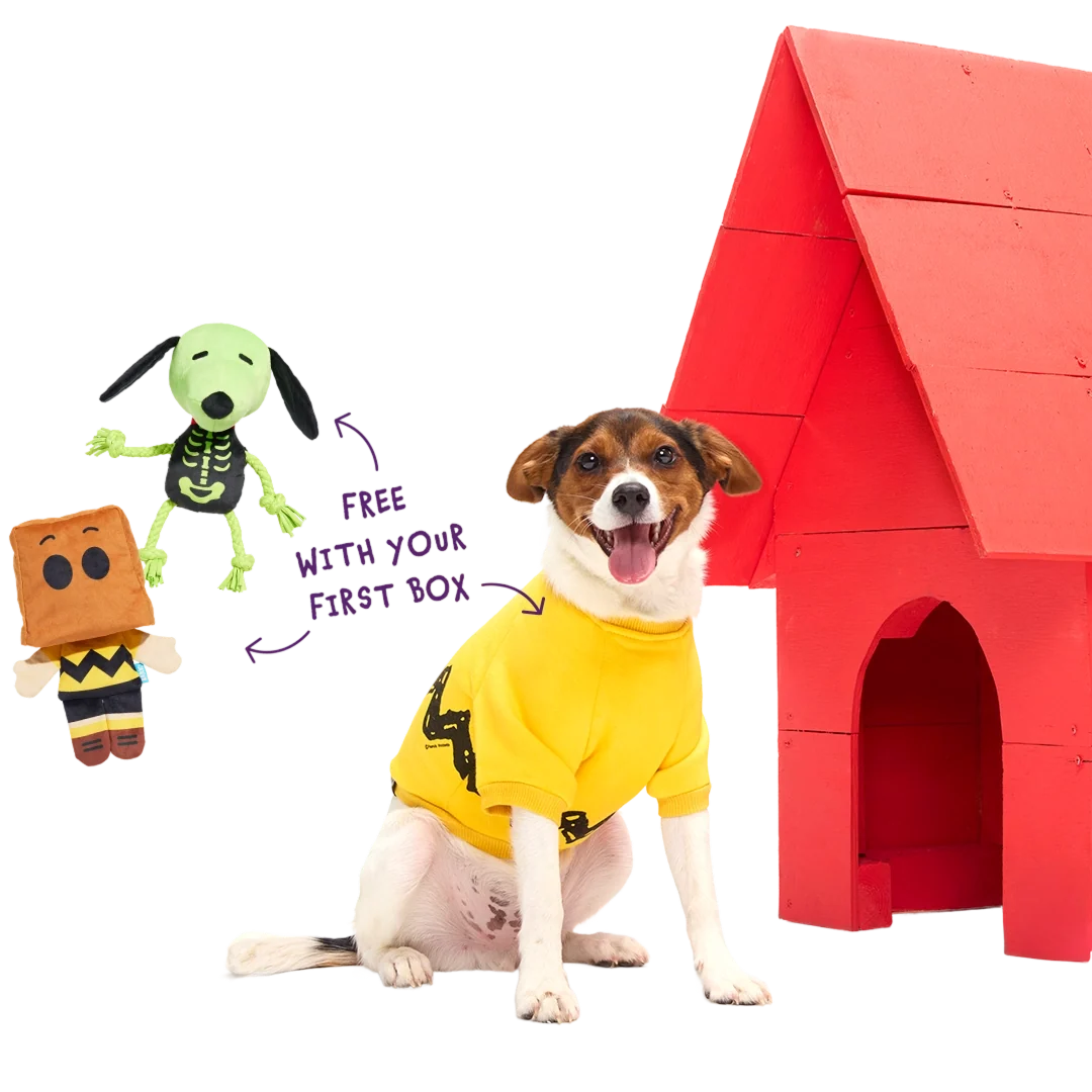 Peanuts™ Halloween Bundle