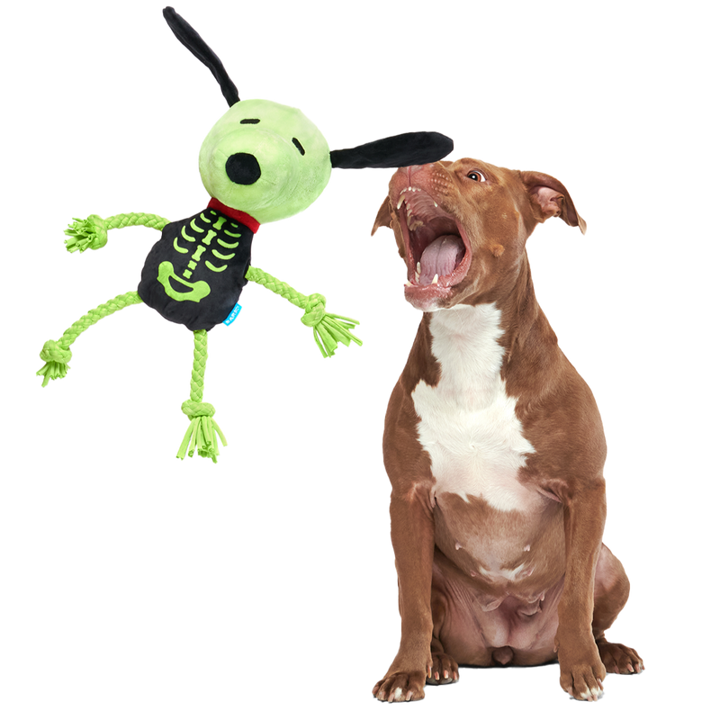 Rattling Bones Beagle Plush Extra-Large + Tug Dog Toy