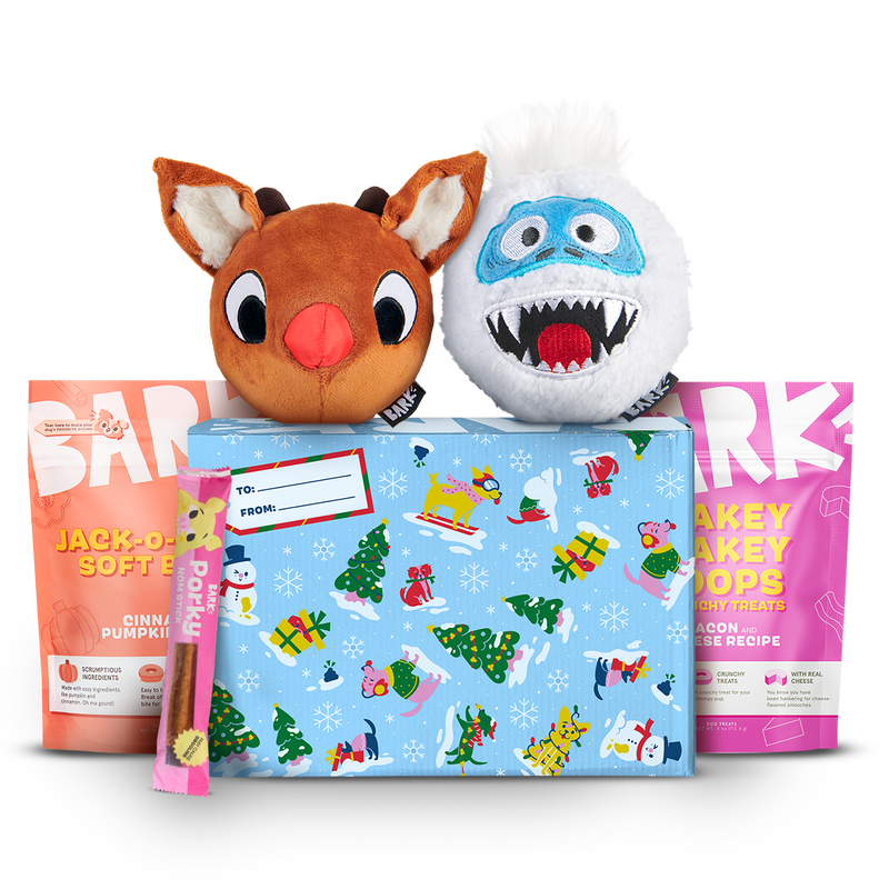 Rudolph® Holiday Super Chewer Gift Box