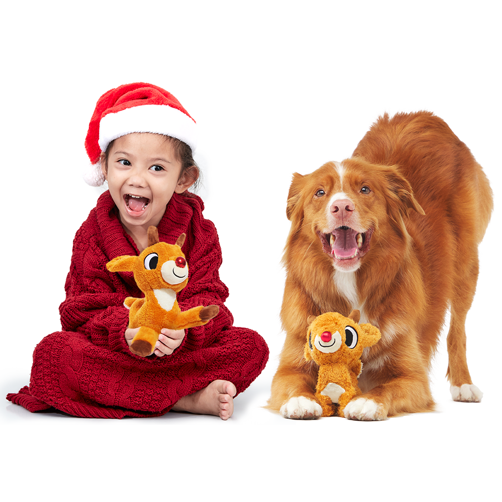 Runnin' Rudolph® Plush Multi-Part Kid + Dog Toy Bundle