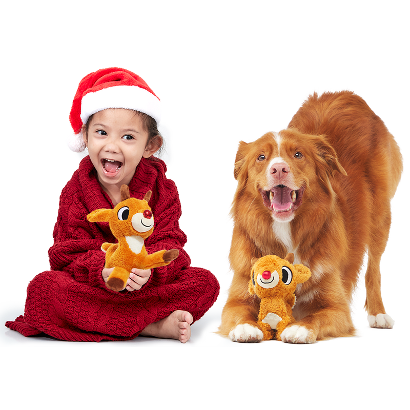 Runnin' Rudolph® Plush Multi-Part Kid + Dog Toy Bundle