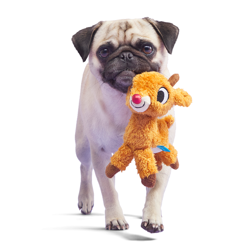 Runnin' Rudolph® Plush Tug Dog Toy