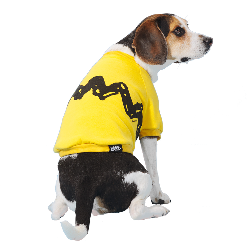 Peanuts Dog Sweatshirt